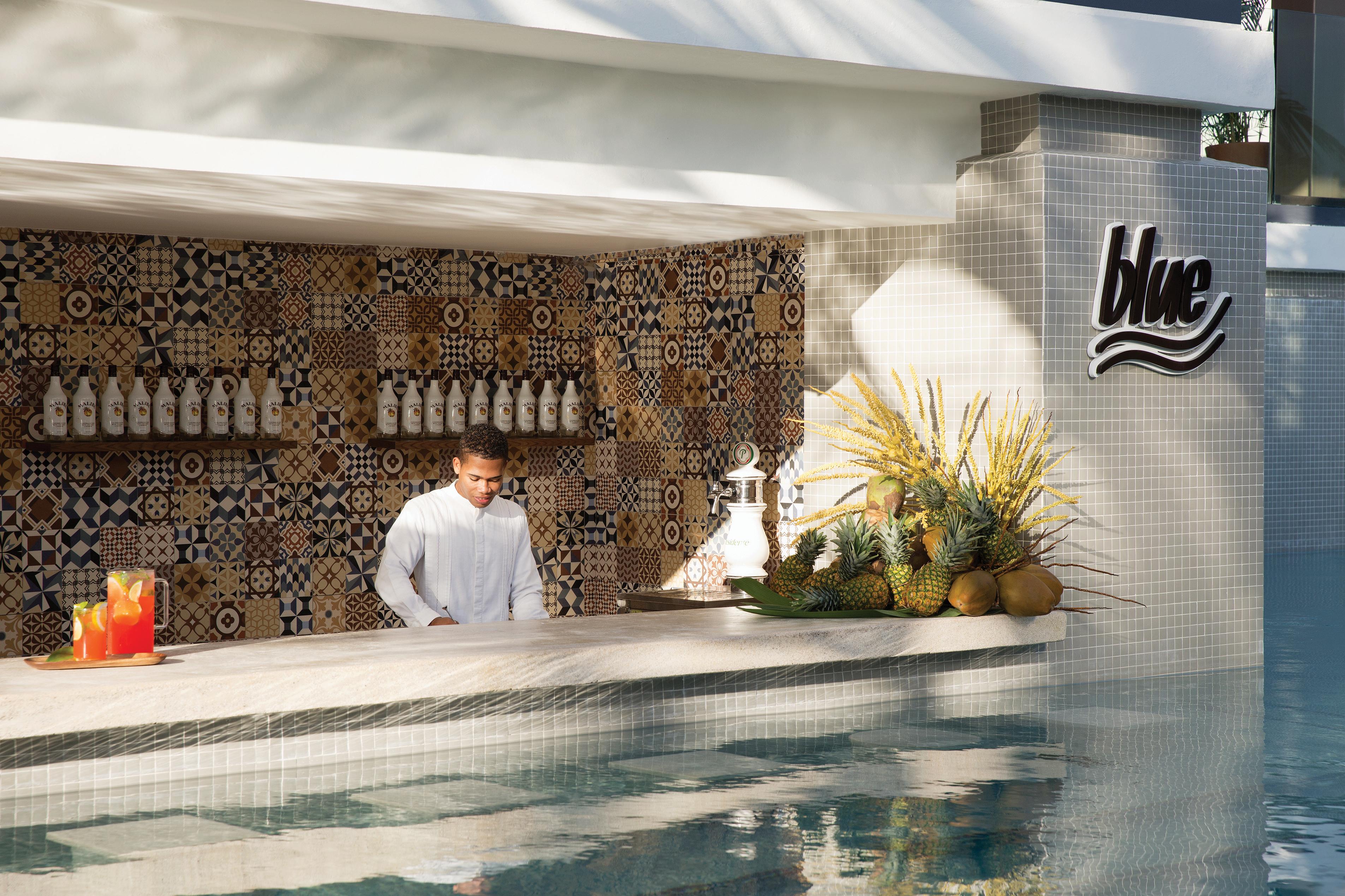 Excellence El Carmen (Adults Only) Hotel Punta Cana Ngoại thất bức ảnh
